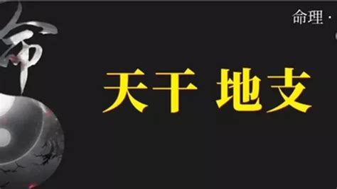 地支相沖|命理基礎知識梳理05：天干地支匯總，你需要的都在這。